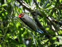 K1600_DSCN4041.webp