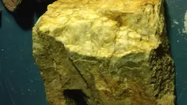 1503963563651.webp