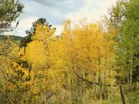 trip 091517 1.webp