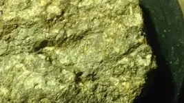 1503964770834.webp