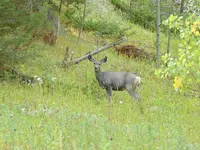trip 091517 2.webp