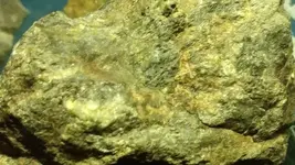 1503964813992.webp