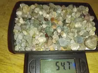 IMAG0711.webp