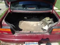Trunk Treasure 003.webp