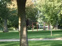 008.webp