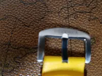 20170828_200650.webp