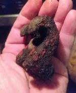 All Shackle 2.webp