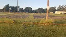 20170906_191056.webp