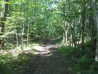 trail.webp