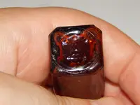 DSCN6533.webp