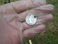 quarter.webp