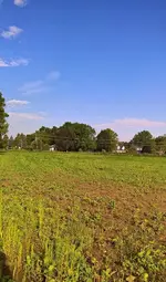 WP_20170716_08_10_07_Rich (2).webp