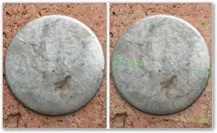 slick capped bussed dime.webp