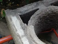DSCN6536.webp