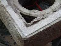 DSCN6537.webp