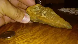 20170828_212447.webp