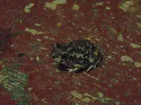 DSC04303.webp