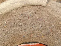 DSCN6541.webp