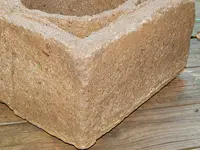 DSCN6550.webp
