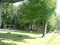 DSCF0005.webp