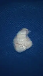 IMG_20170914_030715.webp