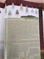ImageUploadedByTreasureNet.com1503251041.714480.webp