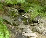 image.webp