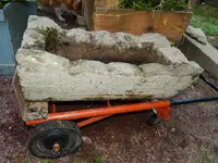 DSCN6554.webp
