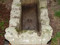 DSCN6555.webp