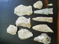 1503255866831.webp