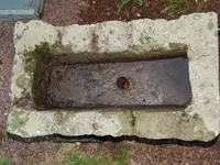 DSCN6557.webp