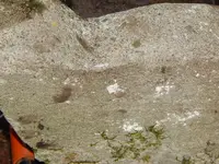 DSCN6558.webp