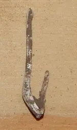 DSCN4750.webp
