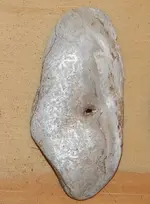 DSCN4753.webp