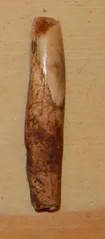 DSCN4754.webp