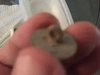 back usa button.webp