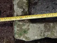 DSCN6559.webp
