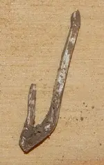 DSCN5053.webp