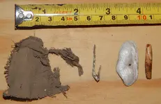 DSCN6816.webp