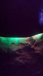20170610_224312_1501782488530.webp
