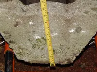 DSCN6561.webp