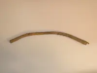 DSCN1834.webp