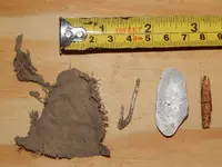 DSCN6817.webp