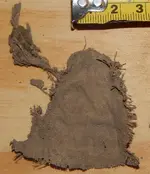 DSCN5058.webp