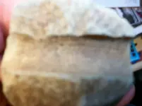 100_5331.webp