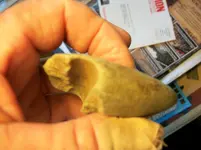 100_5330.webp