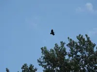 K1600_DSCN4065.webp