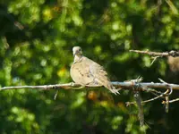 bike ride 090617 3.webp
