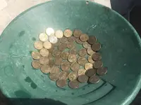 $1 coins.webp