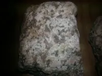 20170829_003350.webp 20170829_003350.webp